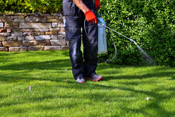 Best Pest Exclusion Services  in White House, TN